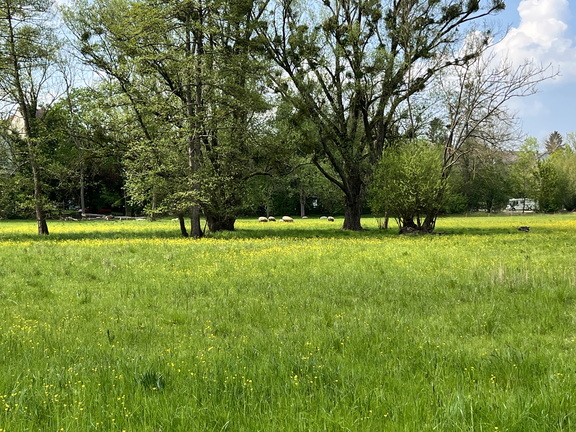 22-05-02 13-34-24 0725